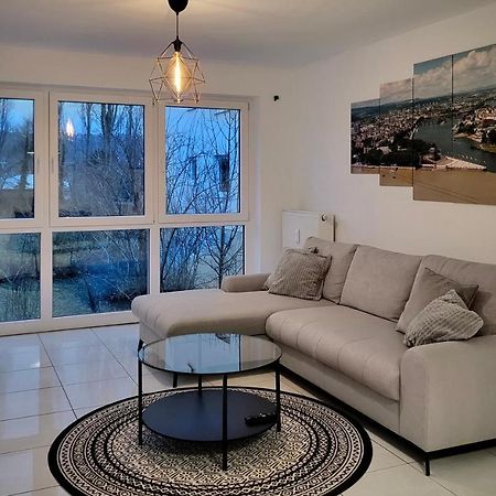 Schoene Und Ruhige Wohnung Direkt An Der Mosel Кобленц Экстерьер фото