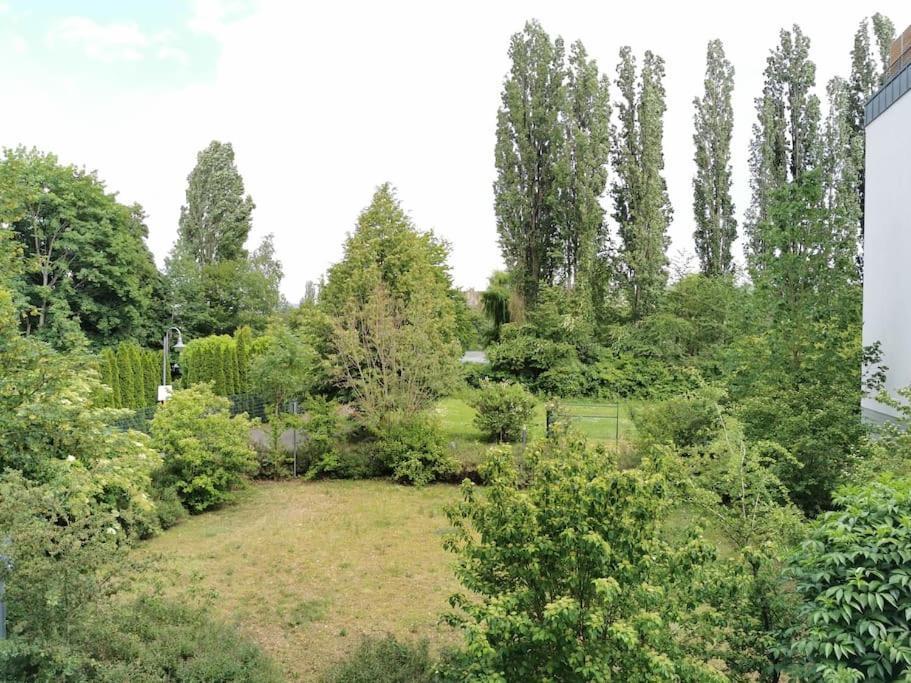 Schoene Und Ruhige Wohnung Direkt An Der Mosel Кобленц Экстерьер фото